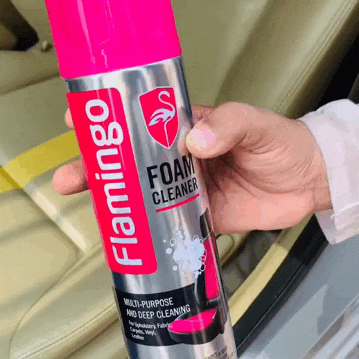 بخاخ تنظيف السيارة