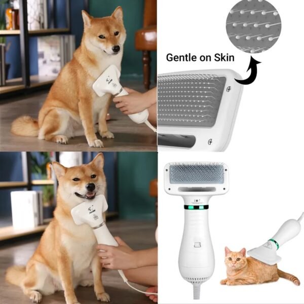 مجفف شعر القطط facility facility.ma مشط الحيوانات الأليفة